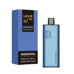 Mayorista Lavie Golden Brick 10000 vape desechable 21