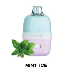 Оптовая продажа Lavie Insider 12000 затяжек одноразового Vape Mint Ice